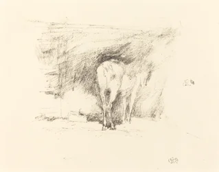 Study of a Horse, 1895