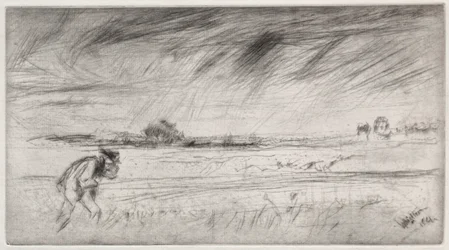 The Storm