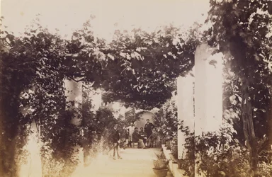 Garden - Capri