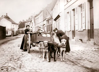 Women and Dogcart, Antwerp, 1898