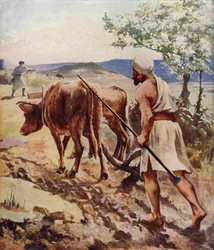 Ploughing Near Nazareth