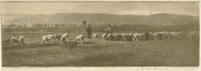 A Lombardy Pastoral