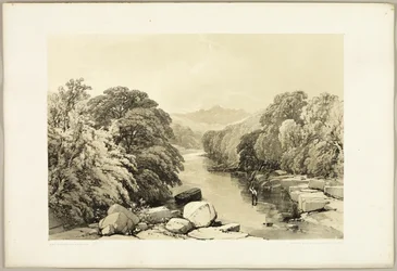 Ash, Sycamore and Oak (from The Park and the Forest)