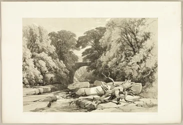 Ash and Alder on the Greta, from The Park and the Forest