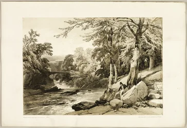 Beech and Ash on the Greta, from The Park and the Forest