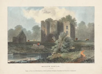 Mallow Castle