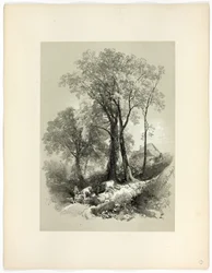 Shipley Bridge, Devon, from Picturesque Selections