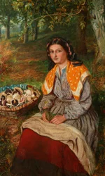 The Mushroom Gatherer