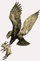 The Eagle and the Hare, from the story by Aesop