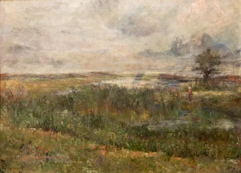 Marsh