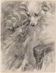 Two Dogs in an Armchair