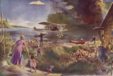 Aeroplane and Forest Fire
