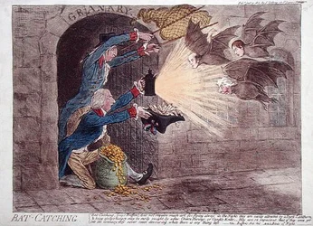 Bat Catching