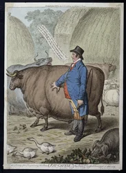 Fat Cattle