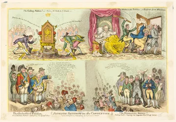 Patriotic Petitions on the Convention