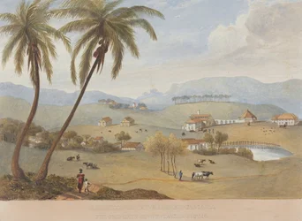 Haughton Court, Hanover, Jamaica