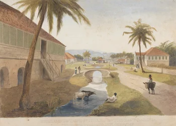Holland Estate, St. Thomas in the East, Jamaica [One of]