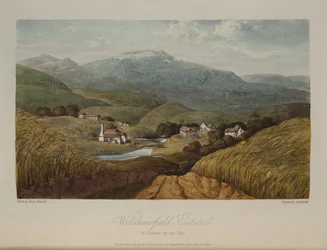 Williamsfield Estate, St. Thomas in the Vale