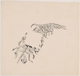 Branch
