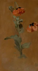 Study of Poppies, 1832 (post conservation)