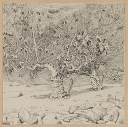 Fig tree, Valley of Hinnom, illustration from The Life of Our Lord Jesus Christ