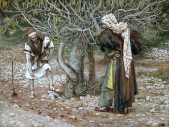 The Barren Fig Tree, Illustration for The Life of Christ