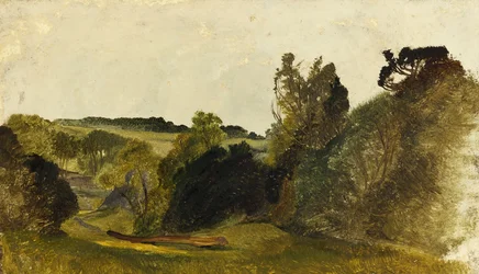 Leigh Wood