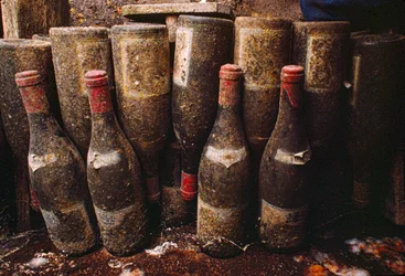 Red wine bottles, covered with mold, ageing in a wine cellar. Tain-L