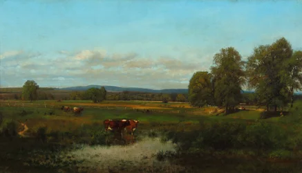 Cows in the Pasture