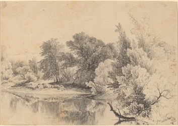 Pond Edge