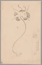 Butterfly (front); Study of Butterfly (back)