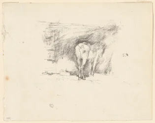 Study of a Horse