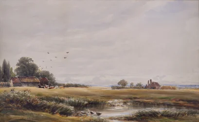 The Village Pond
