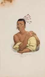 AT-TE-CONSE or the Young Rein Deer; A Chippeway Chief, from The Aboriginal Portfolio