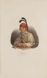 NA-SHE-MUNG-GA, A Miami Chief, from The Aboriginal Portfolio