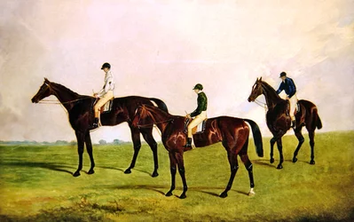Racehorses Jockeys Up