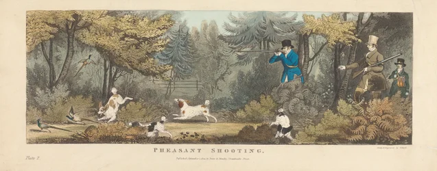 Shooting [set of six]: 2. Pheasant Shooting