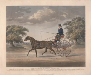 Trotting Match in Harness Against Time