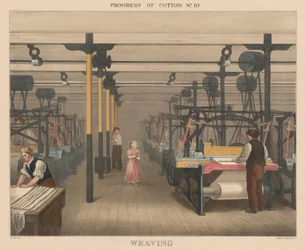 Progress of Cotton: #10 - Weaving