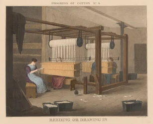 Progress of Cotton: #9 - Reeding or Drawing In