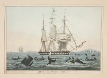 South Sea Whale Fishery
