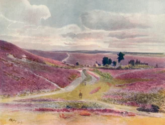 Moorland at Frensham