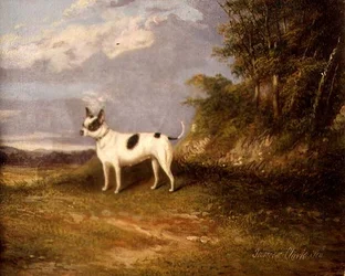 A Terrier in a Landscape
