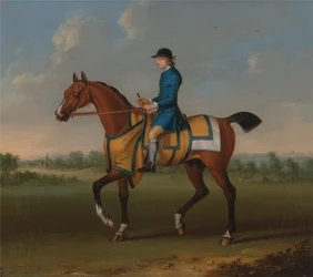 A Bay Racehorse with Jockey Up