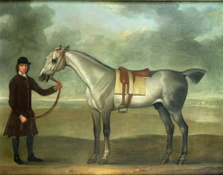 Unknown Image