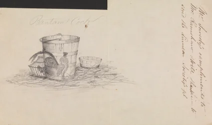 Bantam Cock and Farm Pails