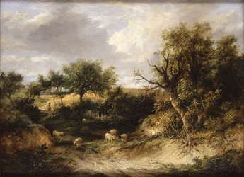 Wooded Landscape