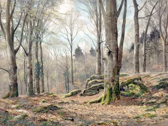 A Welsh Wood
