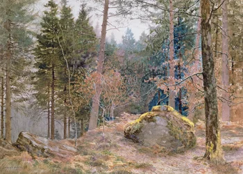 In a Welsh Wood, Winter