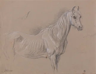 A Mare: Possibly a Study for "L